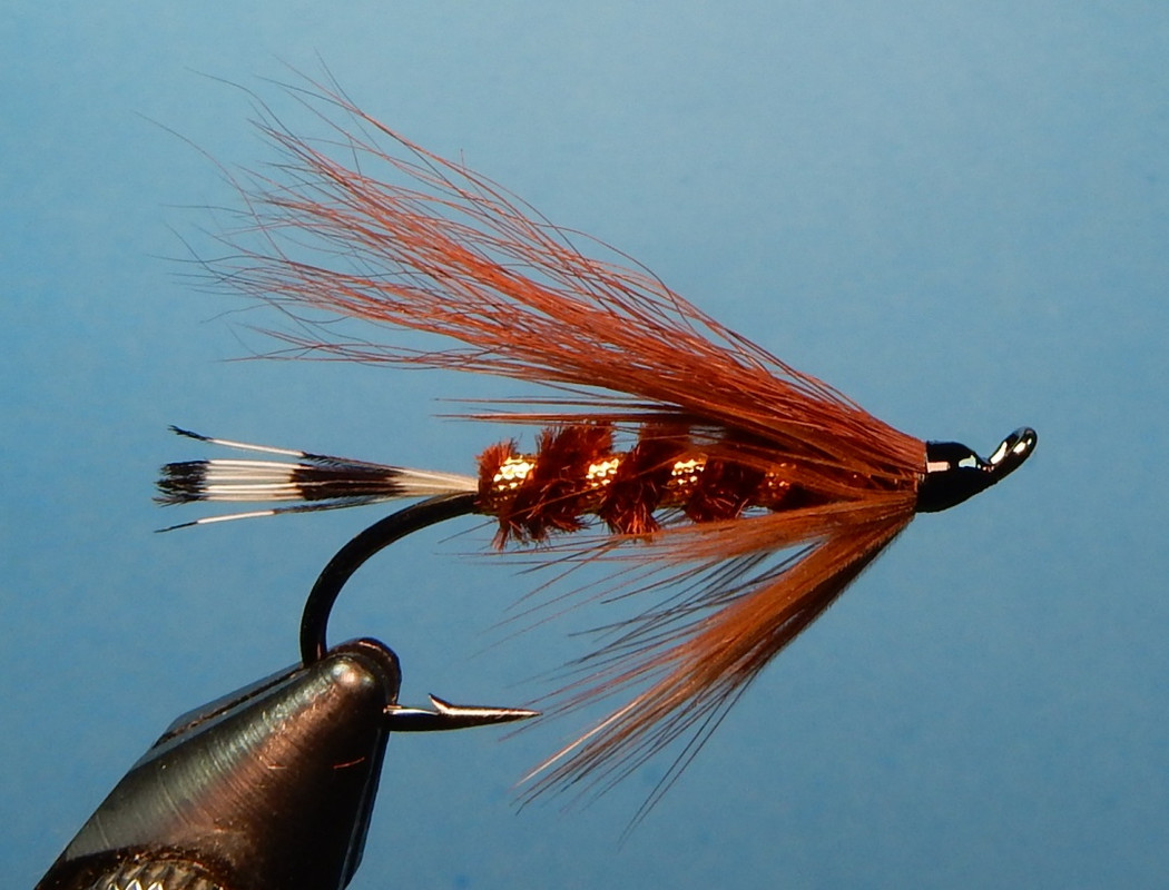 Brown-Billy1080.jpg