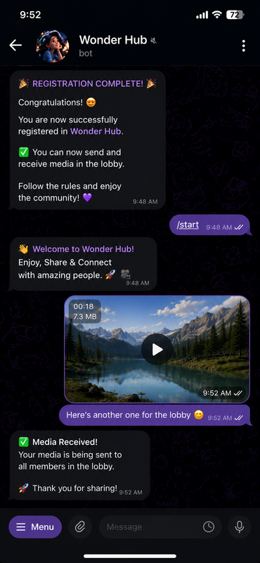 Step 3: Welcome to Wonder Hub