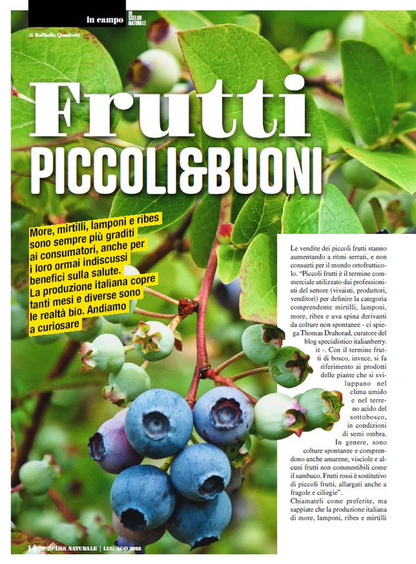 Cucina Nat Lug-Ago 2022 (3)