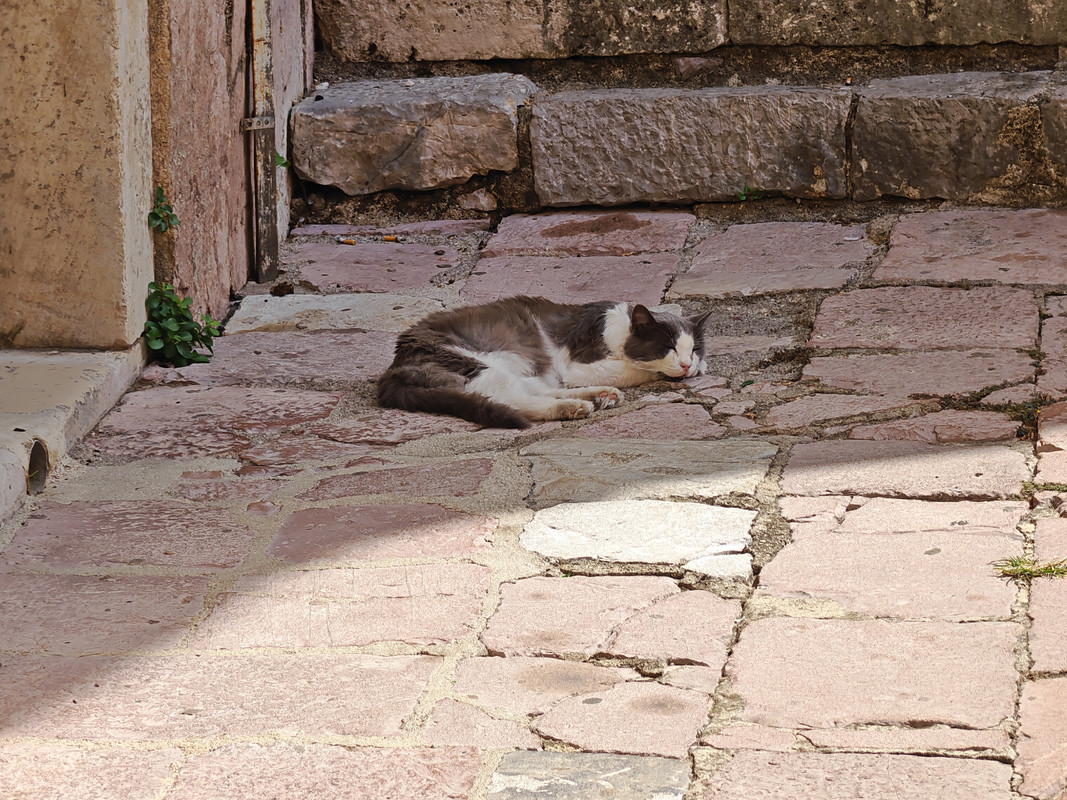 IMG_20250829_114500
