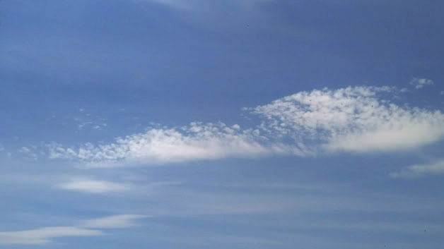 IMG-2019-05-22-112908.jpg