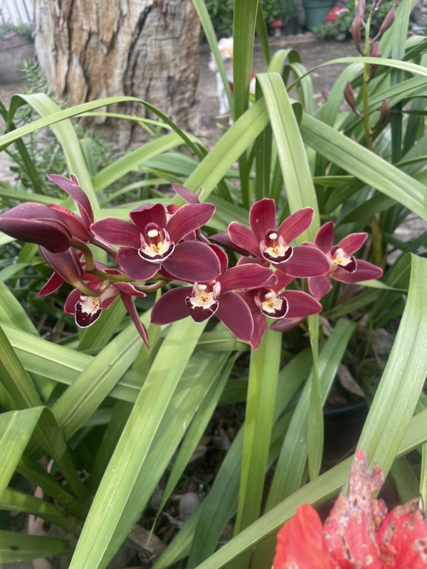 5B50BEF3-7185-4BC7-85C1-167E6E470548_1_105_c