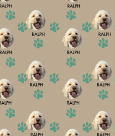 47583a6067a336be440f4183676bd242