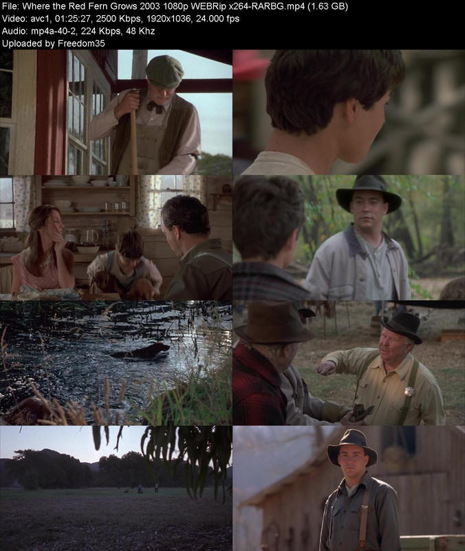 Where-the-Red-Fern-Grows-2003-1080p-WEBR