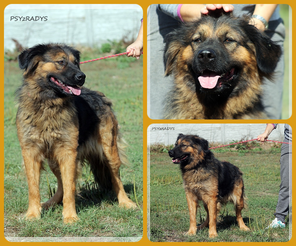 BeFunky-collage (32)