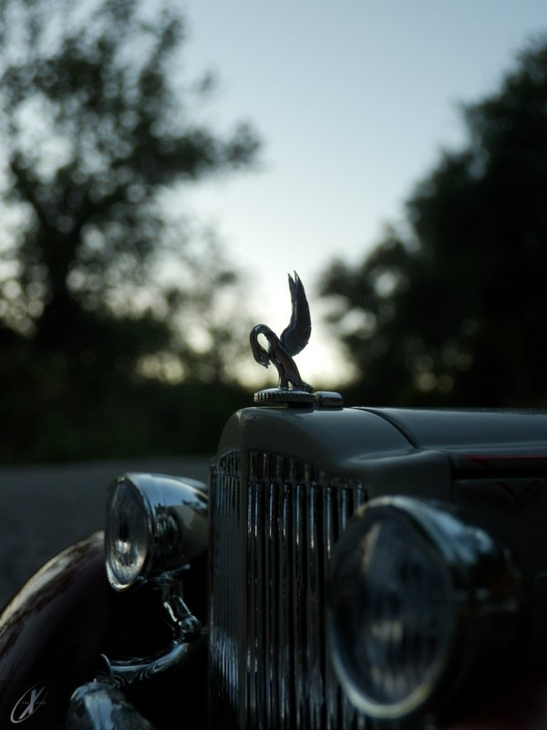 Packard Twelve Model 1107 Dietrich Convertible Victoria (38.1)