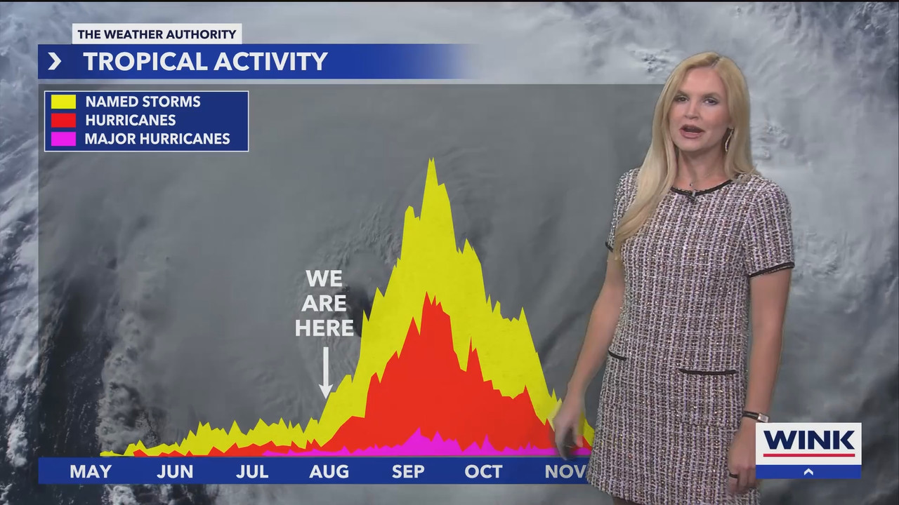 WINK News at 11_20250803_04000500.ts_snapshot_00.47.32.064