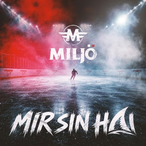 2Miljo.jpg