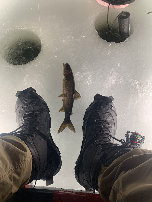 4A4935E5-398E-4453-B317-225AE37AACB7