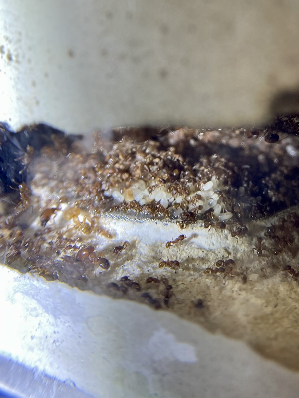 ED741DFD-898B-47C8-BA88-5B8E8EF5F970