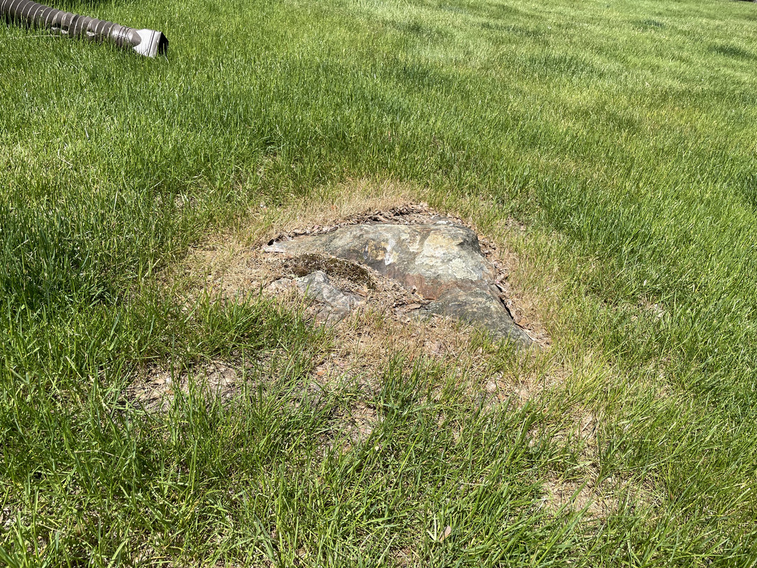 BCF18DDE-E45B-44F9-A1C1-CFA9FD767194