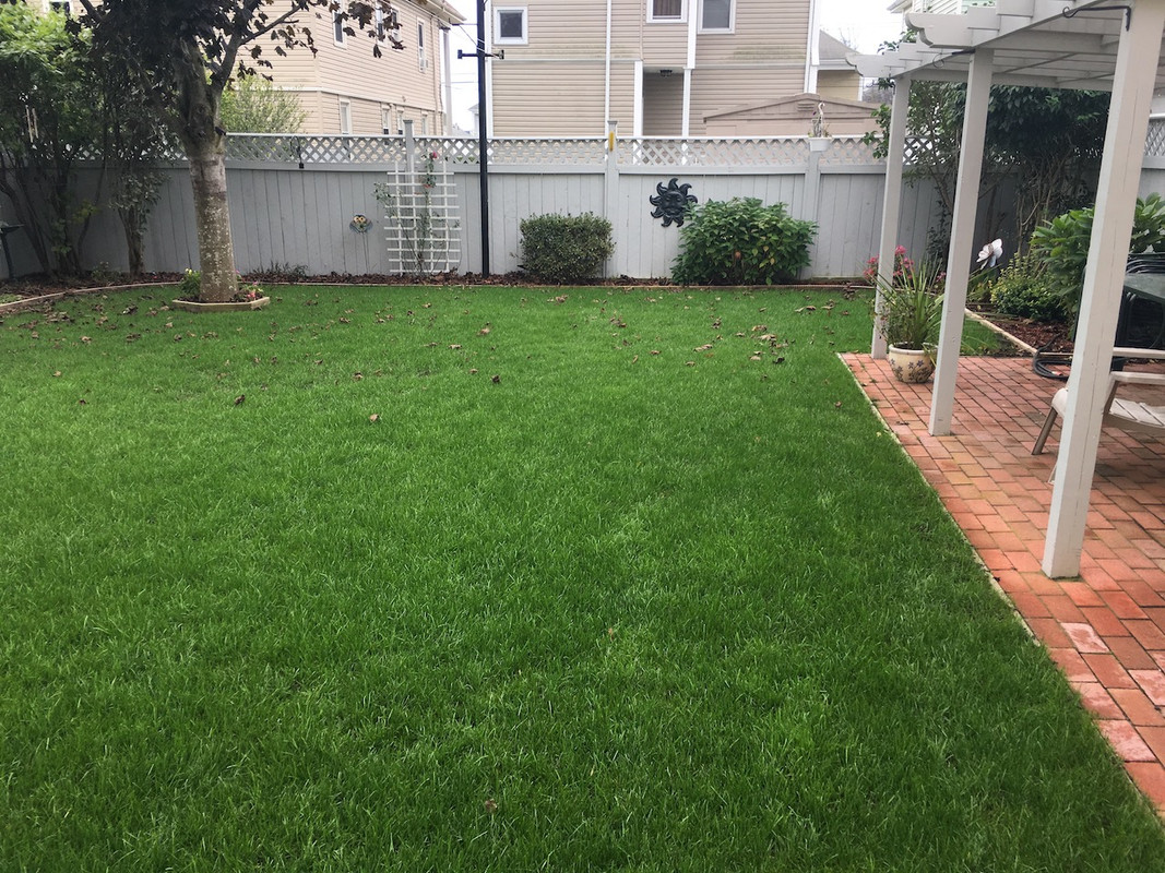 2017_Backyard_Reno_Day_61_2_small