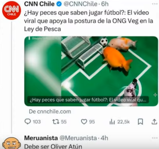 Captura-de-pantalla-2024-07-03-235707.png