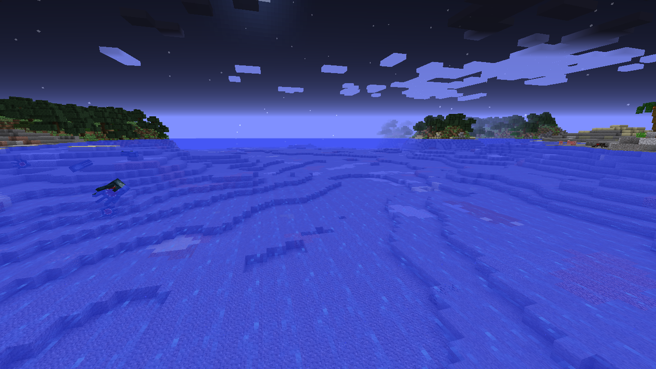 Reef