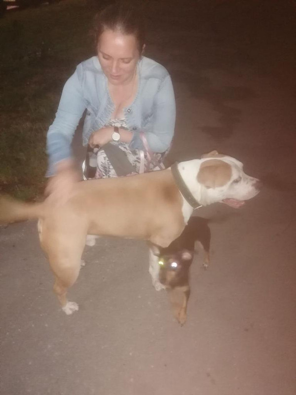 DE883CA4-97BC-4053-81FF-8DDD47775A33