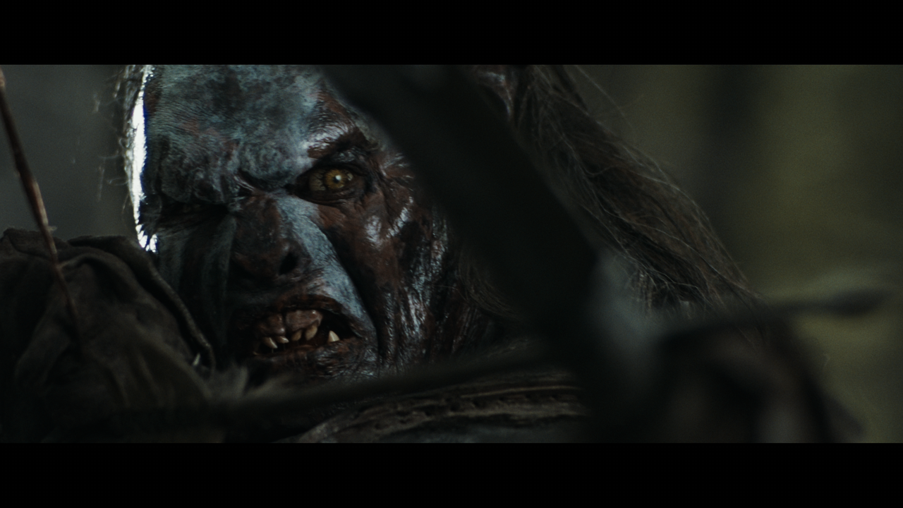 The Lord of the Rings- The Fellowship of the Ring (EXT.).mkv_snapshot_01.23.00_[2020.12.05_22.59.32]