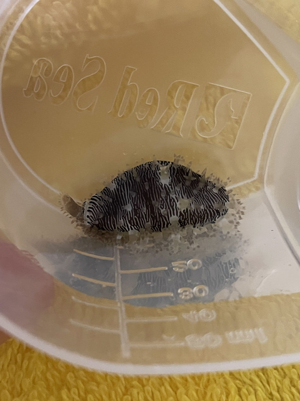 A14F722E-BDE9-47FF-9635-6B7869A94609