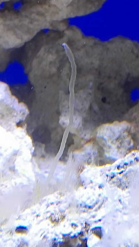 WhatsApp Image 2019-08-04 at 15.52.32 (1)