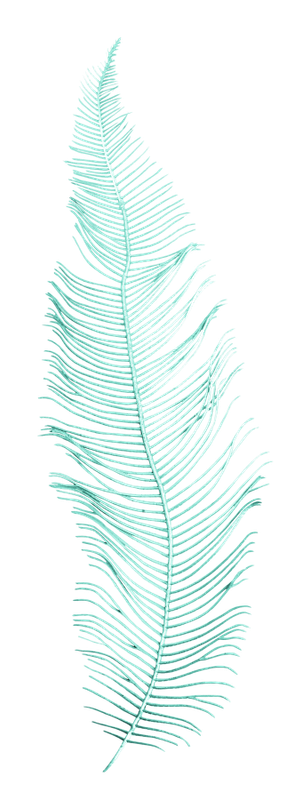 WINTER LOVE_DBJ-ELEM (86)