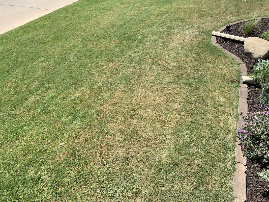 47AE8767-24F8-4D17-AB03-13D376C0CEB2