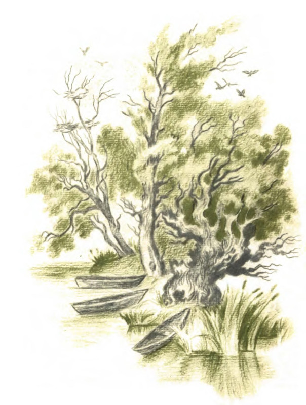 p0003