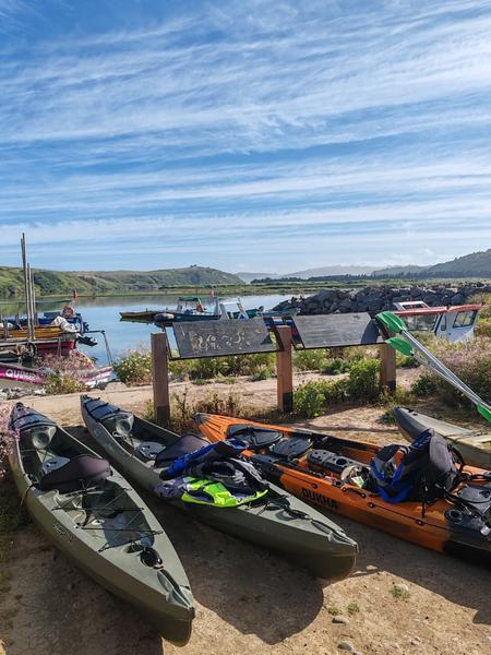 Kayaks preparados en la orilla del río Rapel