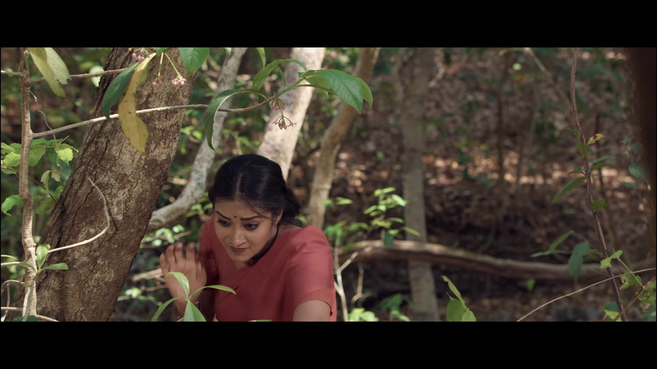 vlcsnap 2025 11 02 13h51m28s082