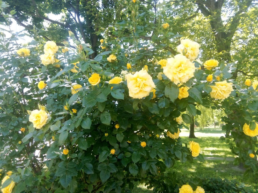 photo_2025-05-31 5.25.10 пп