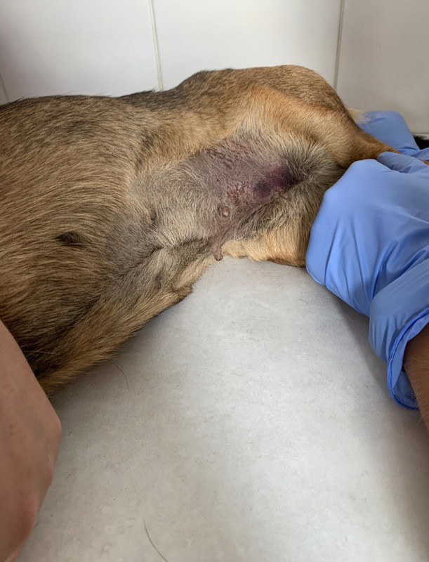 3FC73057-1A53-4DF1-86A3-F0017F400C58