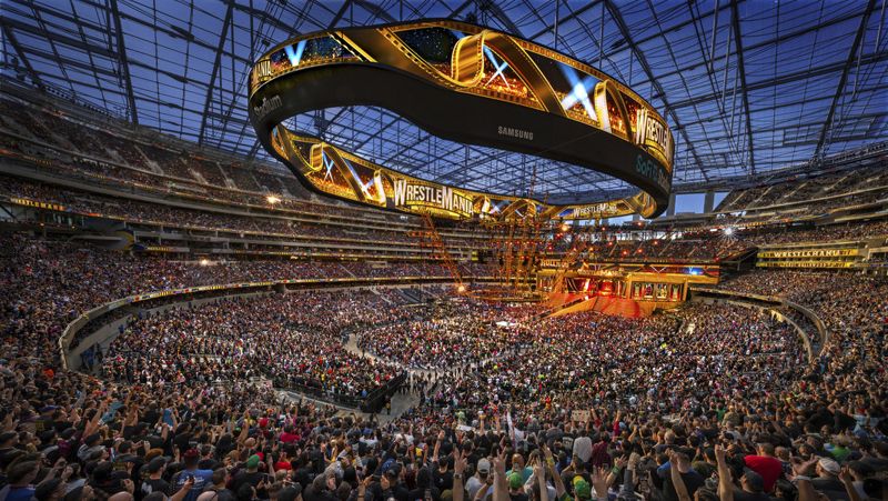 fusione wwe ufc