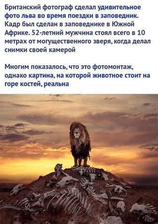 [Изображение: 7c0b1f78e9d059e03b5d29acf262c8a3.jpg]