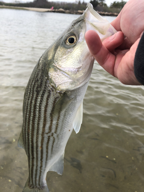 518A1054-F95D-49F5-A289-32377D2215EC