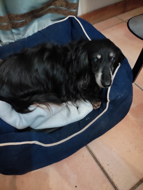 [Image: IMG-20211008-200823.jpg]