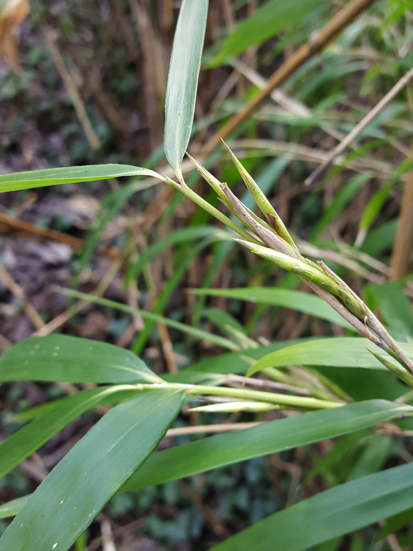 23-02-16_01Parc Mery