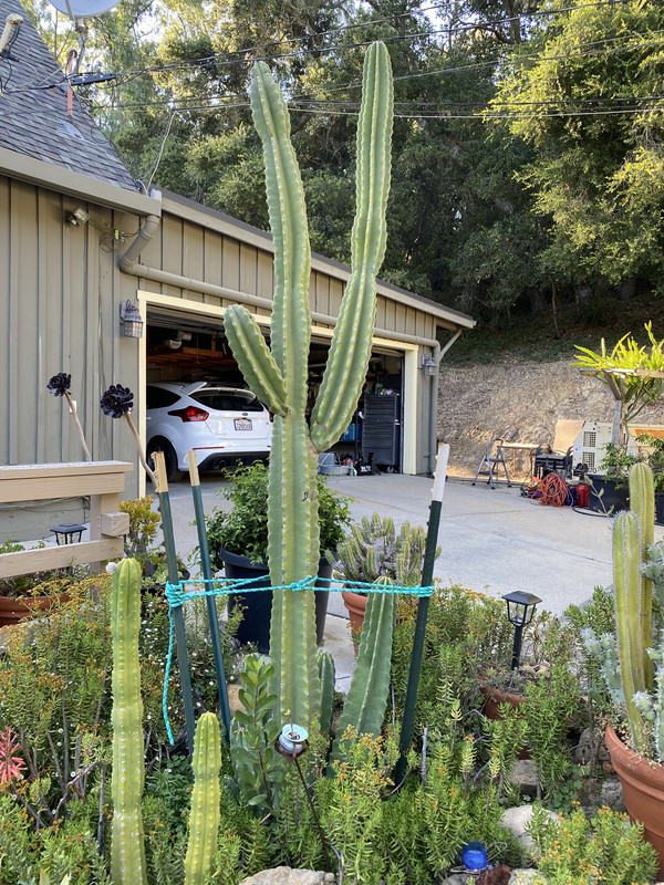 8A075DB3-643F-49E3-8480-14C0A78099C9