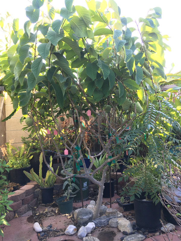 14681D90-4F46-4C67-92F3-1806CA7D4993