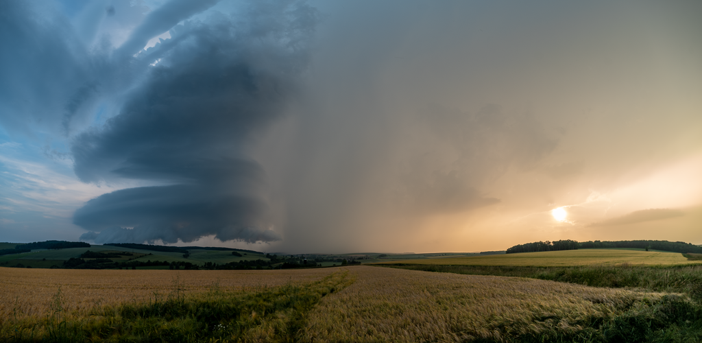7500131-Panorama-1.png