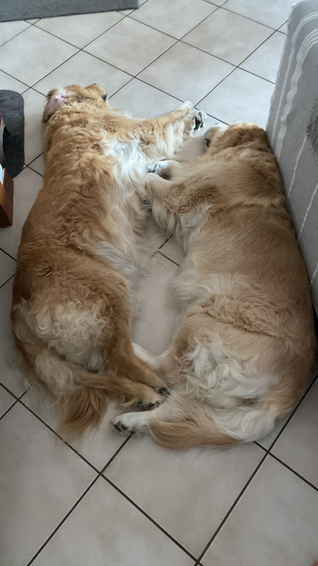 E447EAA0-F952-475B-A34B-FA5757720788