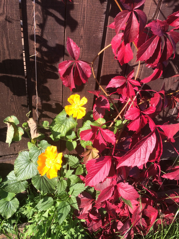 3F1B5A3D-AB42-48FF-8121-B75960F158D5