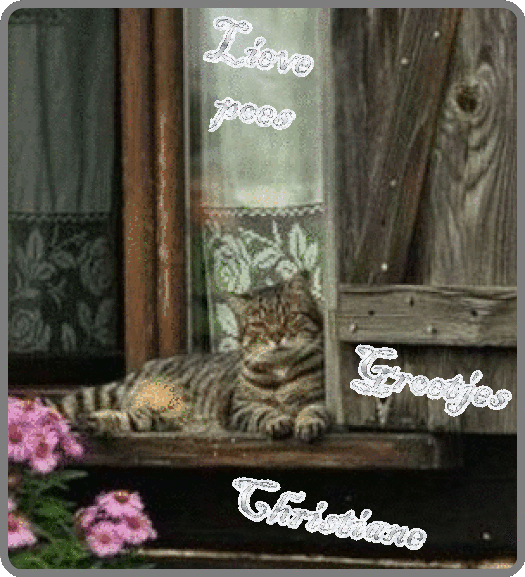 blog23april.gif