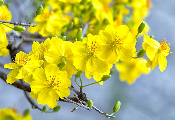 [Image: istockphoto-515469784-612x612.jpg]