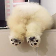 [Image: IMG-7479.jpg]