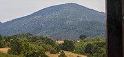 IMG-20230725-202243