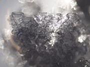 DSC02158-crop