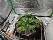 5. PXL_20240809_013822325.MP