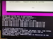 17371053039226003716292032284308.jpg
