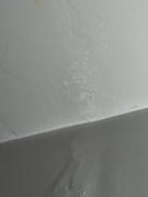 IMG-9542