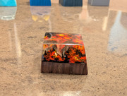 PXL_20250905_014309144.MP