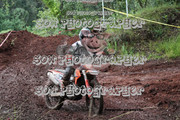 IMG-6621