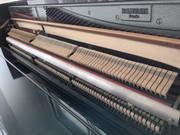 2aba4ba9-87bf-11ef-85d2-efe0d8013109